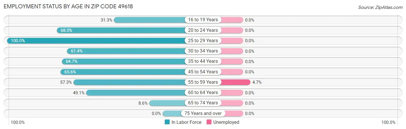 Employment Status by Age in Zip Code 49618