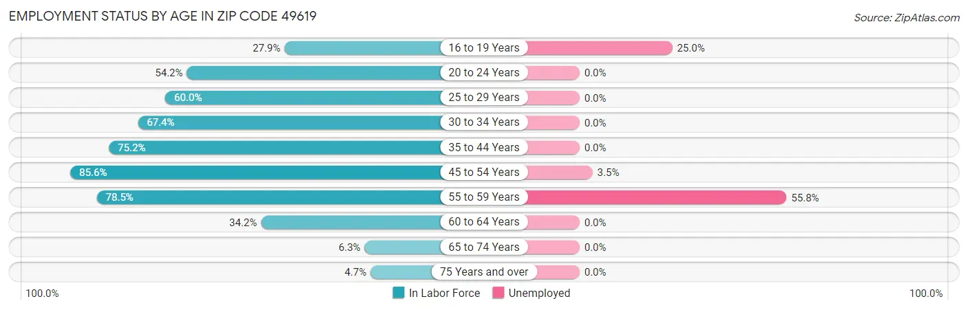 Employment Status by Age in Zip Code 49619