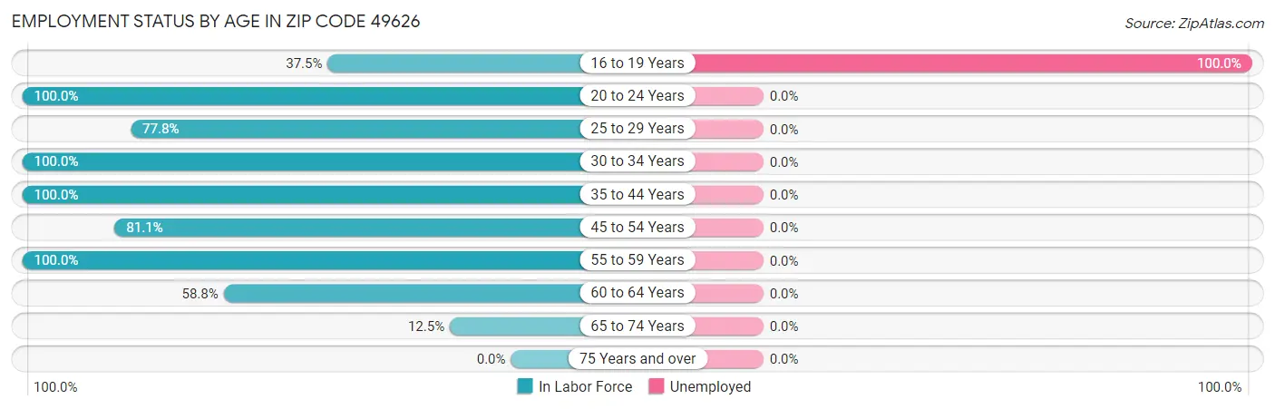 Employment Status by Age in Zip Code 49626