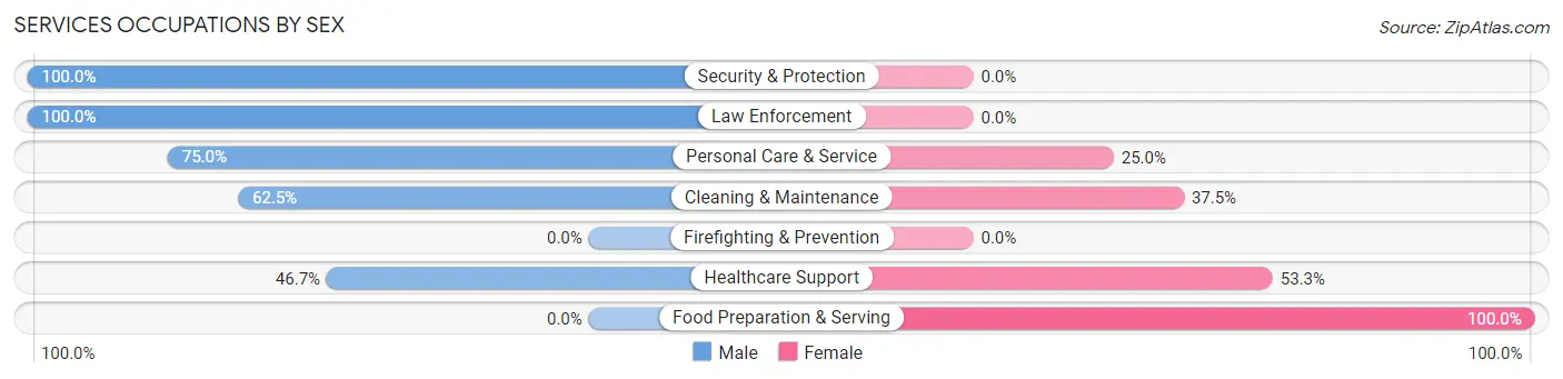 Services Occupations by Sex in Zip Code 49626