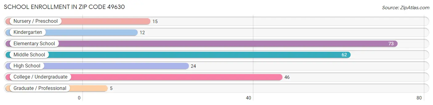 School Enrollment in Zip Code 49630