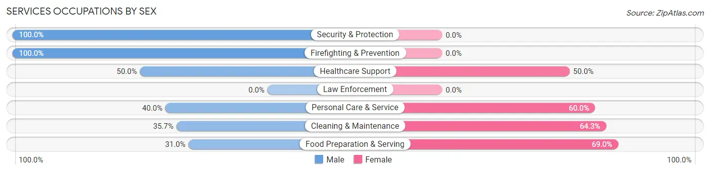 Services Occupations by Sex in Zip Code 49630