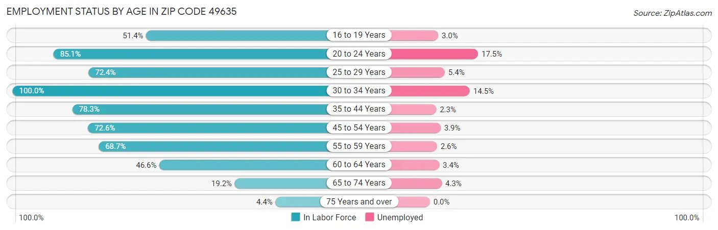 Employment Status by Age in Zip Code 49635