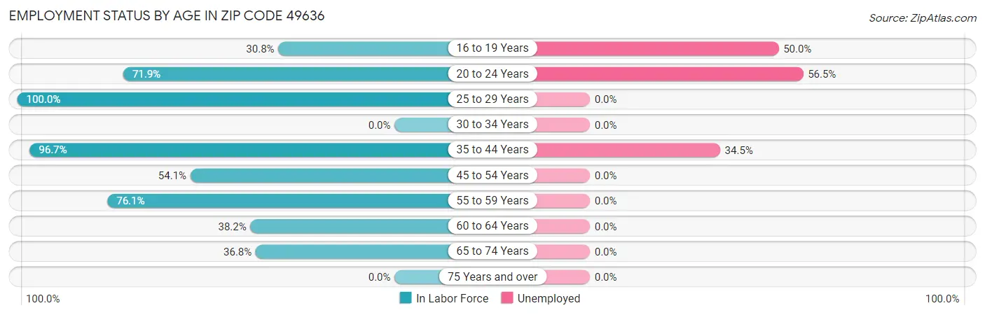 Employment Status by Age in Zip Code 49636