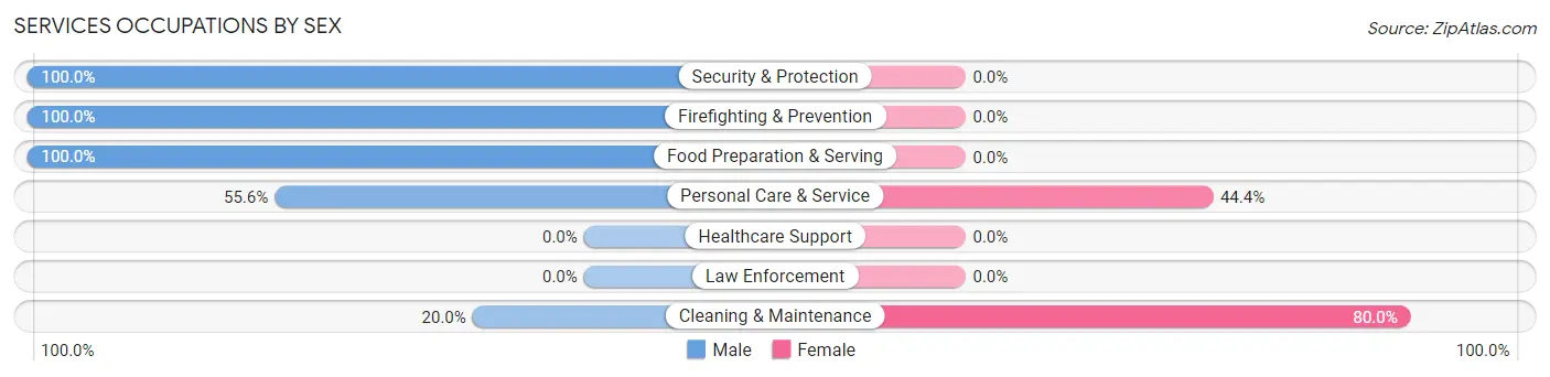 Services Occupations by Sex in Zip Code 49636