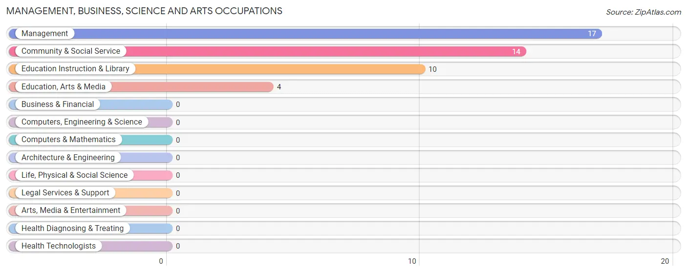 Management, Business, Science and Arts Occupations in Zip Code 49642