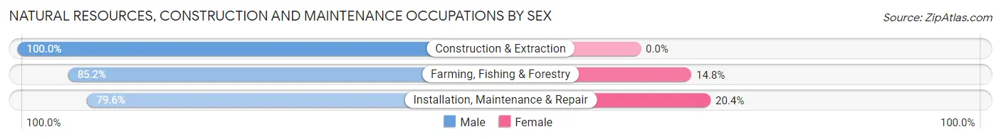 Natural Resources, Construction and Maintenance Occupations by Sex in Zip Code 49648