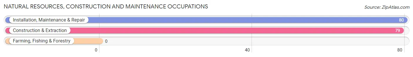 Natural Resources, Construction and Maintenance Occupations in Zip Code 49650