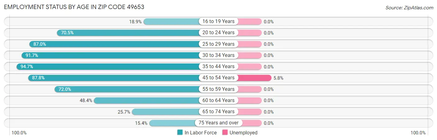 Employment Status by Age in Zip Code 49653