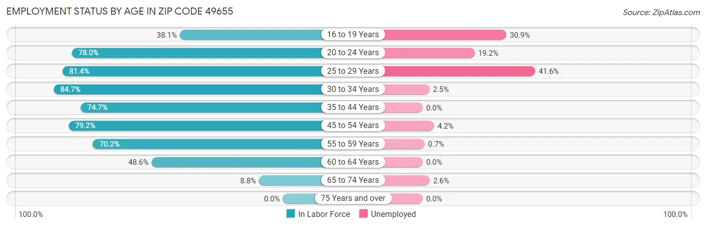 Employment Status by Age in Zip Code 49655