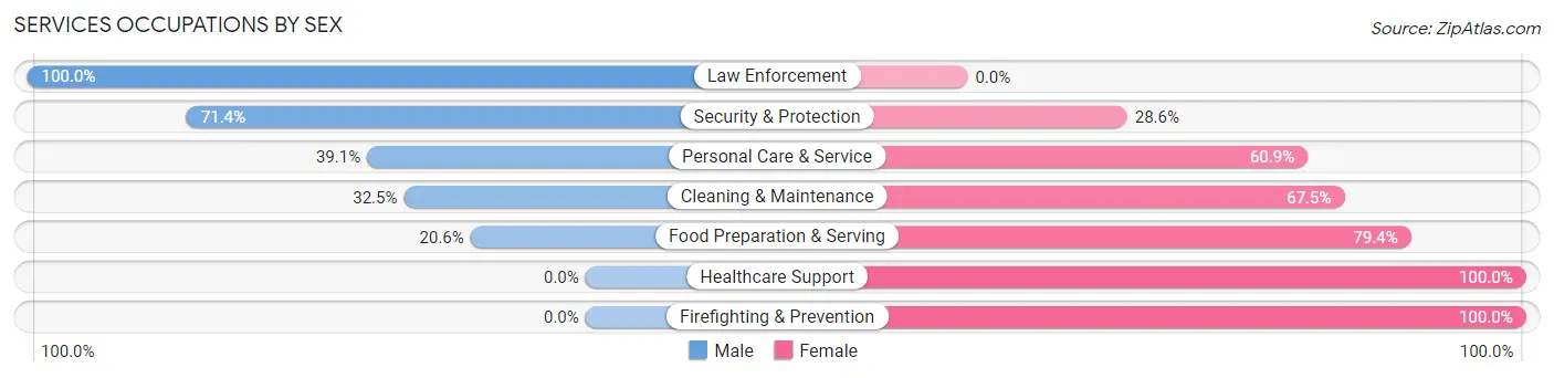 Services Occupations by Sex in Zip Code 49655