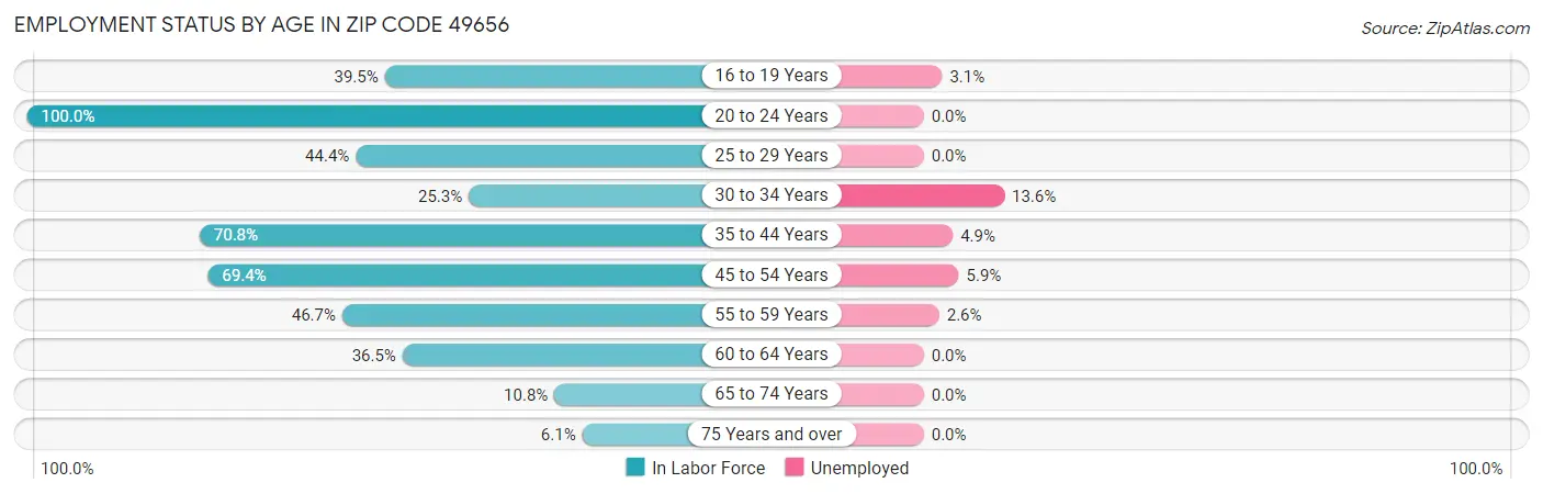Employment Status by Age in Zip Code 49656