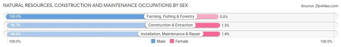 Natural Resources, Construction and Maintenance Occupations by Sex in Zip Code 49663