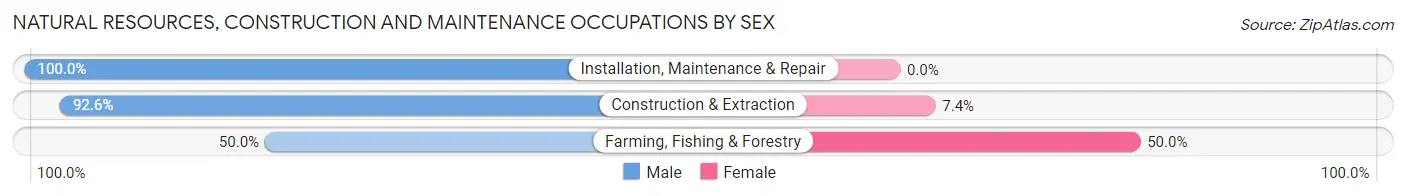 Natural Resources, Construction and Maintenance Occupations by Sex in Zip Code 49664