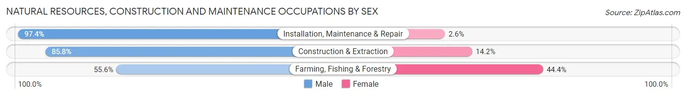Natural Resources, Construction and Maintenance Occupations by Sex in Zip Code 49677