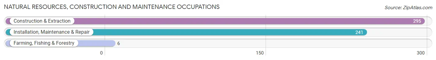 Natural Resources, Construction and Maintenance Occupations in Zip Code 49684