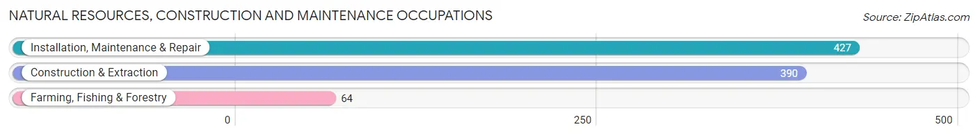 Natural Resources, Construction and Maintenance Occupations in Zip Code 49707