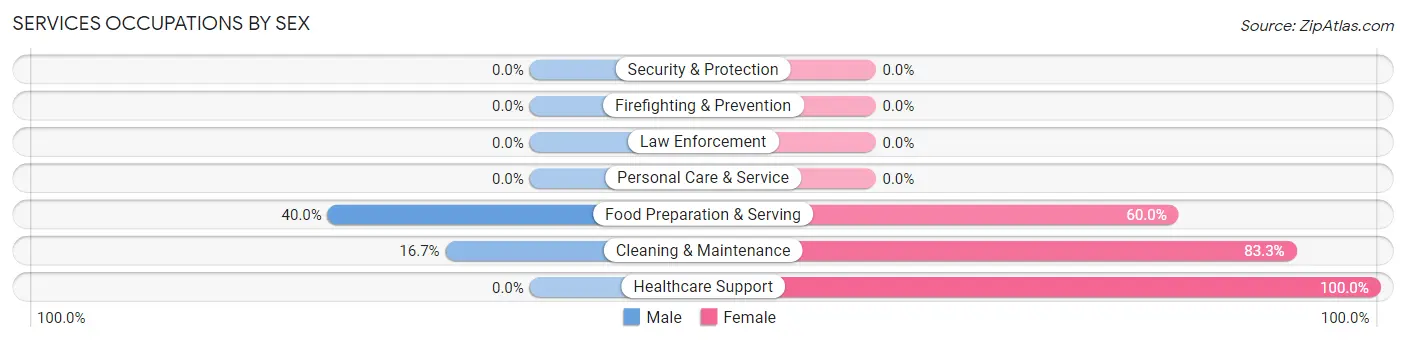 Services Occupations by Sex in Zip Code 49728