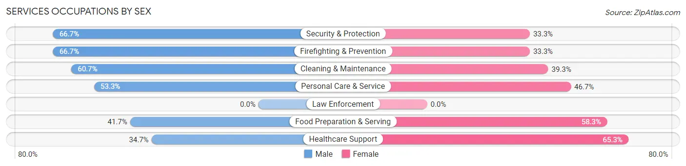 Services Occupations by Sex in Zip Code 49729