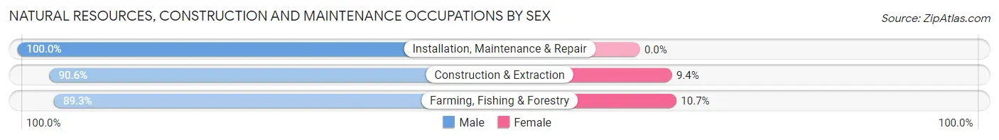 Natural Resources, Construction and Maintenance Occupations by Sex in Zip Code 49733