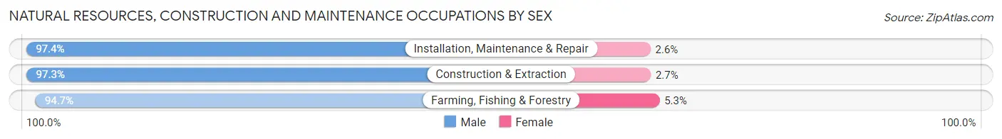 Natural Resources, Construction and Maintenance Occupations by Sex in Zip Code 49740