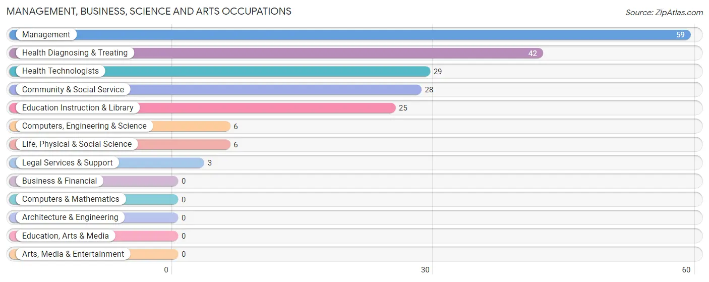 Management, Business, Science and Arts Occupations in Zip Code 49744