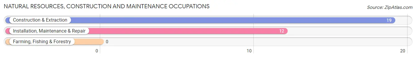 Natural Resources, Construction and Maintenance Occupations in Zip Code 49745