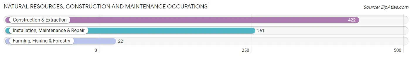 Natural Resources, Construction and Maintenance Occupations in Zip Code 49770