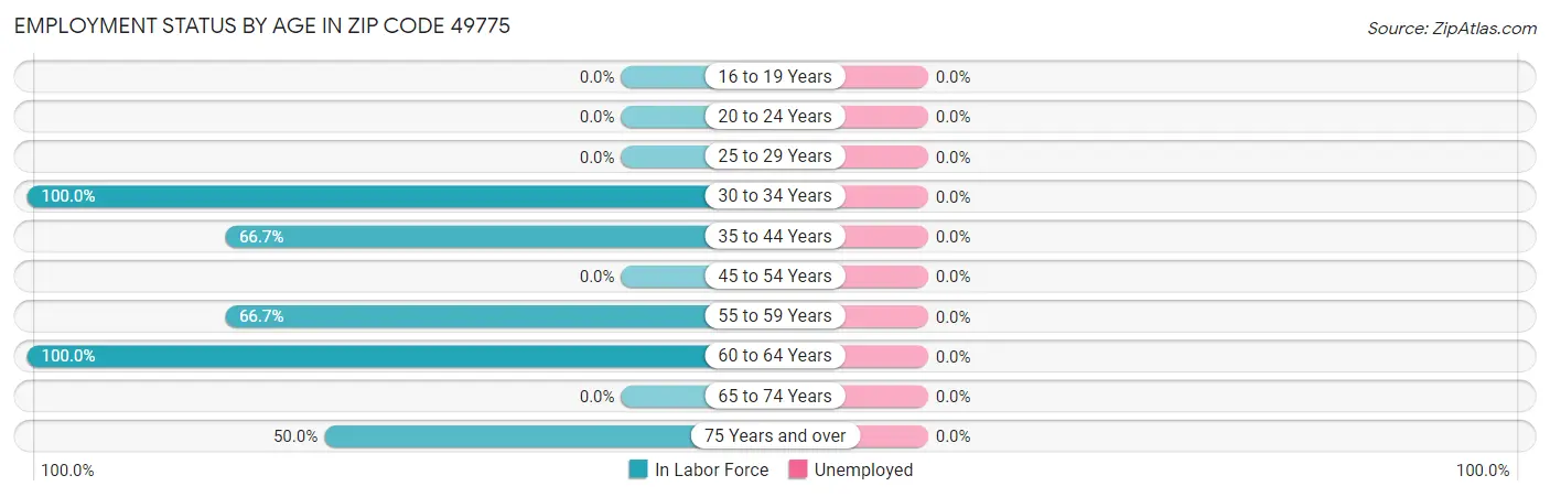 Employment Status by Age in Zip Code 49775