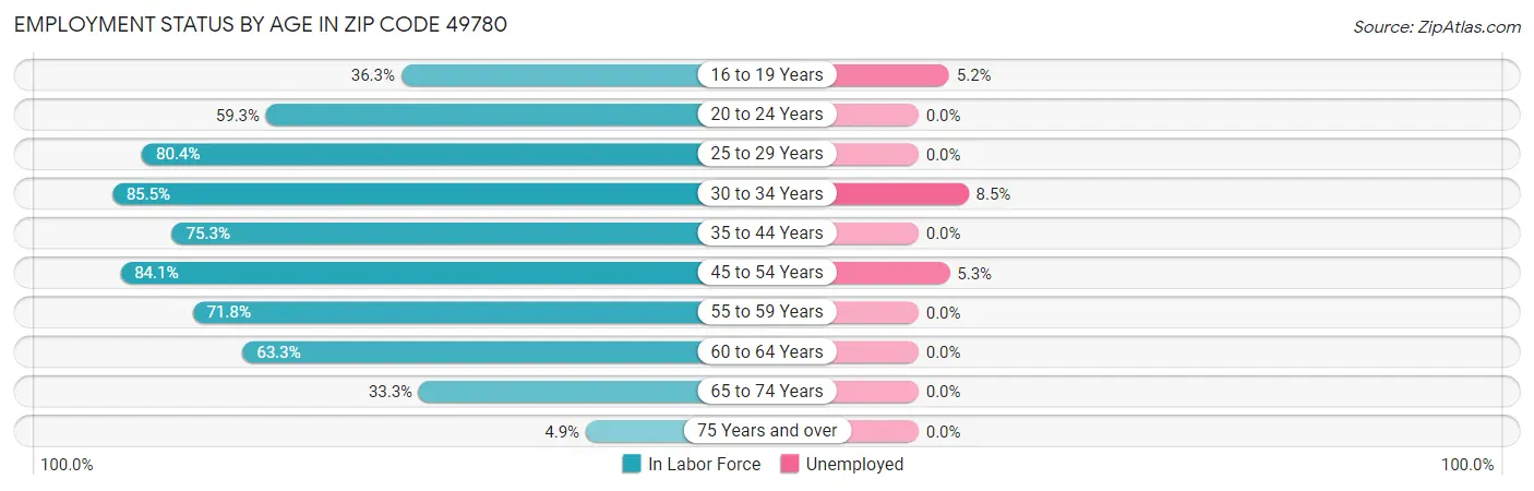 Employment Status by Age in Zip Code 49780