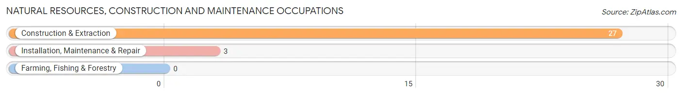 Natural Resources, Construction and Maintenance Occupations in Zip Code 49782