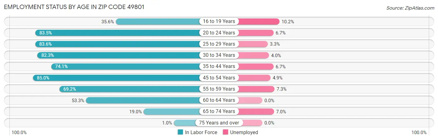 Employment Status by Age in Zip Code 49801