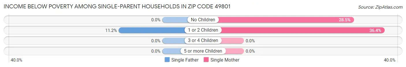 Income Below Poverty Among Single-Parent Households in Zip Code 49801