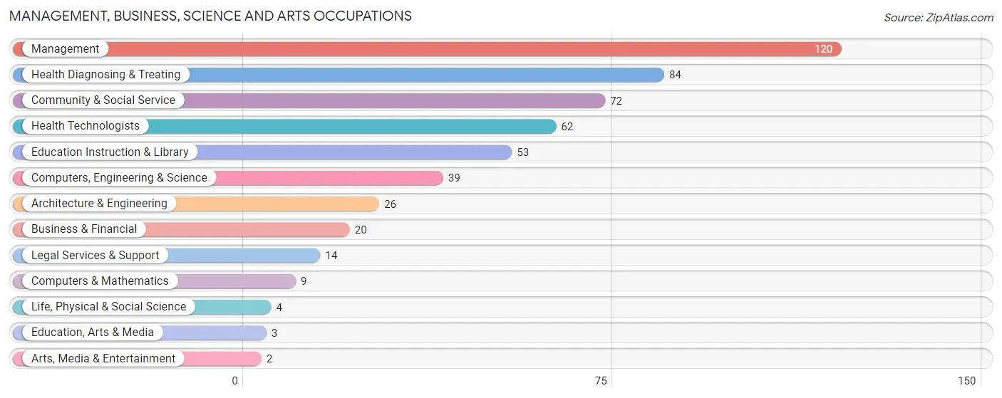 Management, Business, Science and Arts Occupations in Zip Code 49807