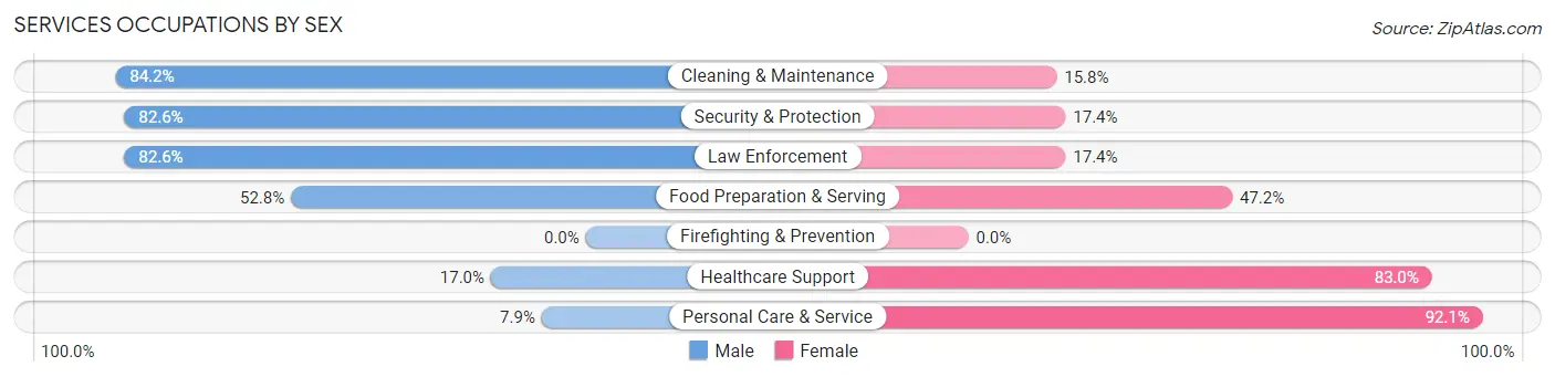 Services Occupations by Sex in Zip Code 49807