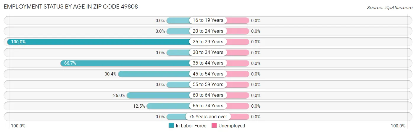 Employment Status by Age in Zip Code 49808