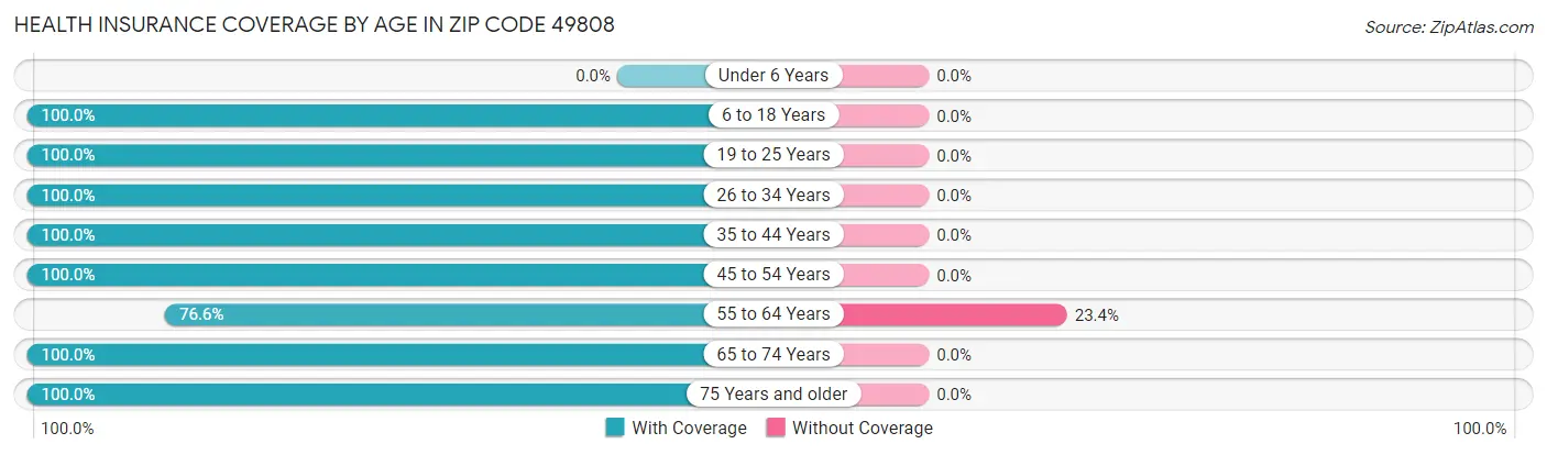 Health Insurance Coverage by Age in Zip Code 49808