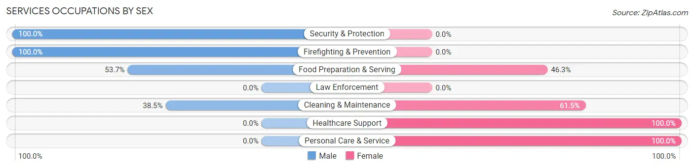 Services Occupations by Sex in Zip Code 49821