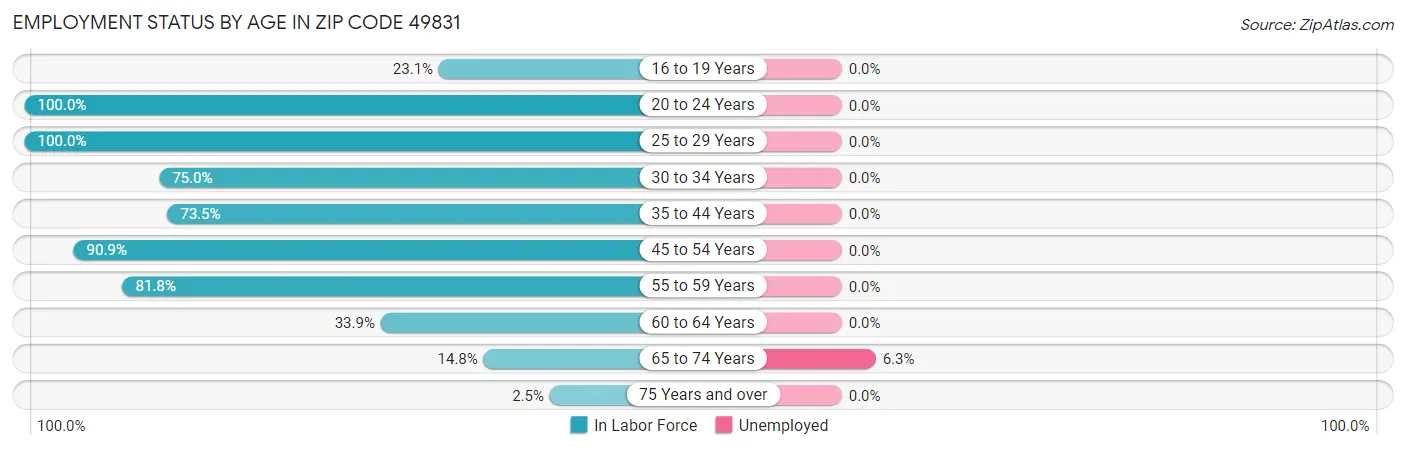 Employment Status by Age in Zip Code 49831