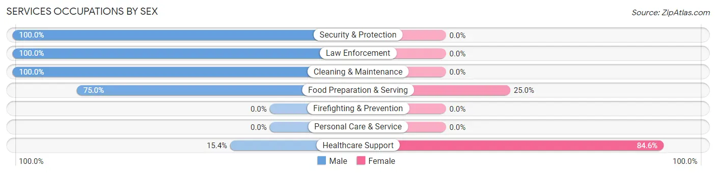 Services Occupations by Sex in Zip Code 49836