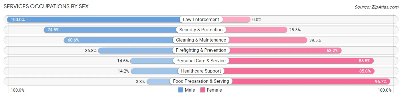 Services Occupations by Sex in Zip Code 49841