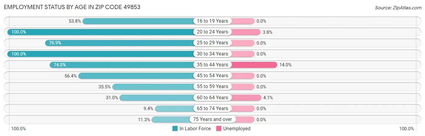 Employment Status by Age in Zip Code 49853