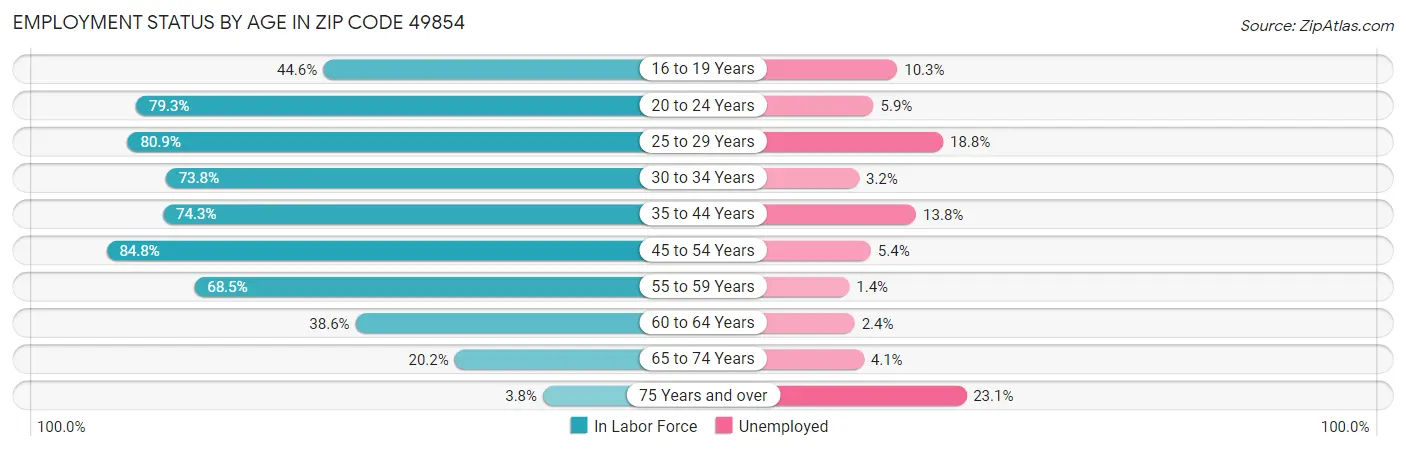 Employment Status by Age in Zip Code 49854