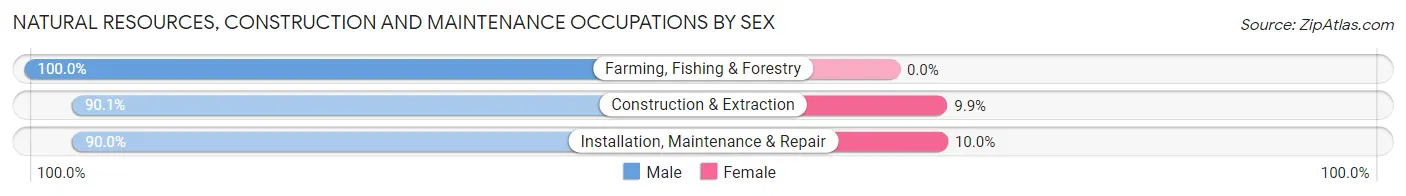Natural Resources, Construction and Maintenance Occupations by Sex in Zip Code 49854
