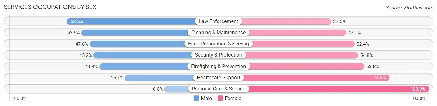 Services Occupations by Sex in Zip Code 49858