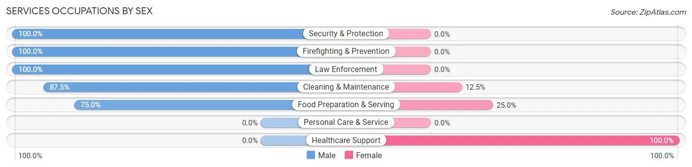 Services Occupations by Sex in Zip Code 49861
