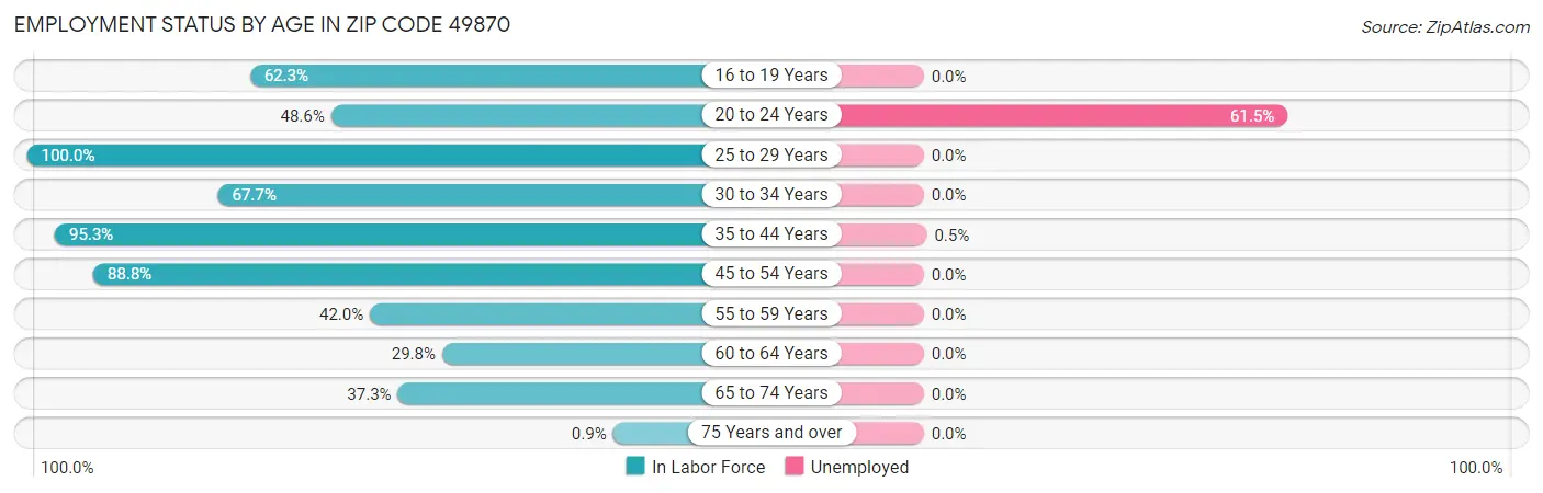 Employment Status by Age in Zip Code 49870