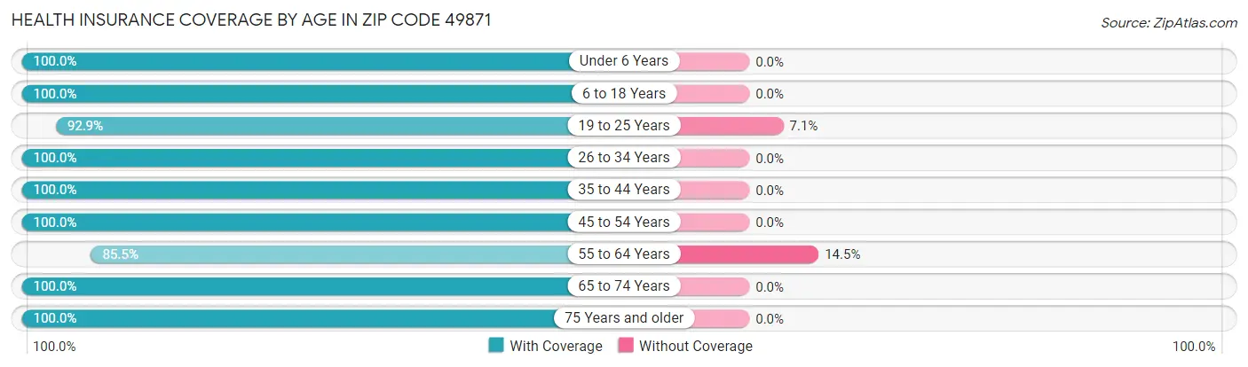 Health Insurance Coverage by Age in Zip Code 49871