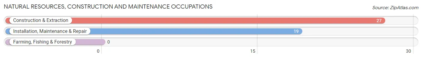 Natural Resources, Construction and Maintenance Occupations in Zip Code 49871