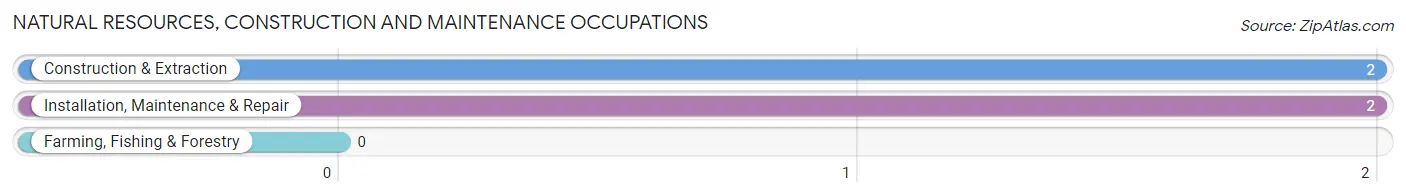 Natural Resources, Construction and Maintenance Occupations in Zip Code 49872